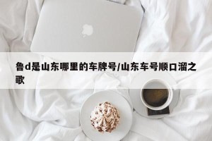 鲁d是山东哪里的车牌号/山东车号顺口溜之歌